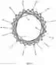 Fig. 55 - Stent for the positioning and anchoring of a valvular prosthesis in an implantation site in the heart of a patient