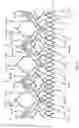 Fig. 63 - Stent for the positioning and anchoring of a valvular prosthesis in an implantation site in the heart of a patient