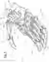 Fig. 06 - Prosthetic hand system