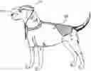 Fig. 01 - Protective Clothing And Apparel For Pets And Animals And Method Of Use