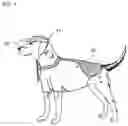 Fig. 02 - Protective Clothing And Apparel For Pets And Animals And Method Of Use