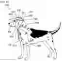 Fig. 06 - Protective Clothing And Apparel For Pets And Animals And Method Of Use