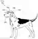 Fig. 11 - Protective Clothing And Apparel For Pets And Animals And Method Of Use