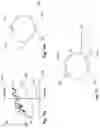 Fig. 14 - Systems and methods for short pulse laser eye surgery