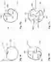 Fig. 15 - Systems and methods for short pulse laser eye surgery