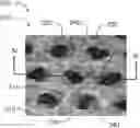 Fig. 01 - Apertured extrusion coated nonwoven web for absorbent articles and absorbent articles including same