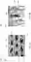 Fig. 06 - Apertured extrusion coated nonwoven web for absorbent articles and absorbent articles including same