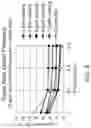 Fig. 09 - Apertured extrusion coated nonwoven web for absorbent articles and absorbent articles including same