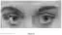 Fig. 04 - Eye make-up compositions comprising graphene