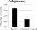 Fig. 01 - Anti-aging composition