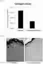 Fig. 02 - Anti-aging composition