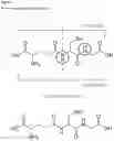 Fig. 02 - METHOD FOR TOPICAL SOLVENT-FREE AROMATIC DRUG DELIVERY SYSTEM