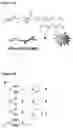 Fig. 02 - Block copolymer and micelle compositions and methods of use thereof