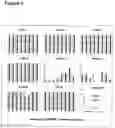 Fig. 05 - Amphoteric liposomes comprising imino lipids