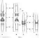 Fig. 02 - Method for liposome preparation by centrifugation