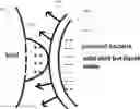 Fig. 01 - Method for administering solid water particles to prevent bacteria growth in living organisms