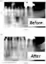 Fig. 06 - Method for administering solid water particles to prevent bacteria growth in living organisms