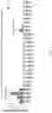 Fig. 06 - Compositions and formulations for treatment of malignancies