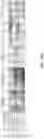 Fig. 33 - Histone acetyltransferase activators and compositions and uses thereof