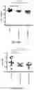Fig. 07 - Formulations for Treating and/or Preventing Disease
