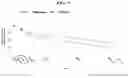 Fig. 10 - METHOD OF TREATING TRUNCAL ACNE WITH TRIFAROTENE