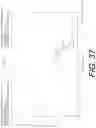 Fig. 46 - Glycopyrrolate salts
