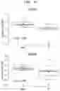 Fig. 02 - Pharmaceutical composition for treating or preventing Parkinson's disease comprising STT as an active ingredient