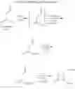 Fig. 07 - Antibacterial monobactams