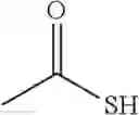 Fig. 16 - Antibacterial monobactams