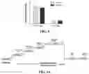 Fig. 05 - COMPOSITIONS AND METHODS FOR TREATMENT RELATED TO FALL AND FALL FREQUENCY IN NEURODEGENERATIVE DISEASES