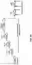 Fig. 06 - COMPOSITIONS AND METHODS FOR TREATMENT RELATED TO FALL AND FALL FREQUENCY IN NEURODEGENERATIVE DISEASES