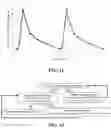 Fig. 10 - COMPOSITIONS AND METHODS FOR TREATMENT RELATED TO FALL AND FALL FREQUENCY IN NEURODEGENERATIVE DISEASES