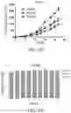 Fig. 16 - 4(1H)-quinolone derivatives and uses thereof