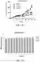 Fig. 17 - 4(1H)-quinolone derivatives and uses thereof