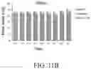 Fig. 25 - 4(1H)-quinolone derivatives and uses thereof