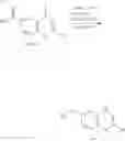 Fig. 29 - 4(1H)-quinolone derivatives and uses thereof