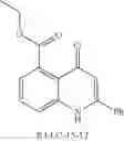 Fig. 62 - 4(1H)-quinolone derivatives and uses thereof