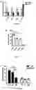 Fig. 08 - NOVEL APPLICATION OF GZD824 AND PHARMACEUTICALLY ACCEPTABLE SALTS THEREOF IN TREATING DISEASES