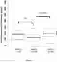 Fig. 02 - METHOD AND PHARMACEUTICAL COMPOSITIONS FOR THE TREATMENT OF MULTIPLE MYELOMA