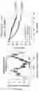 Fig. 04 - METHOD AND PHARMACEUTICAL COMPOSITIONS FOR THE TREATMENT OF MULTIPLE MYELOMA