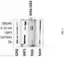 Fig. 02 - METHOD OF TREATING CANCER