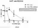 Fig. 04 - Methods and compositions comprising ursolic acid and/or resveratrol for treating diabetes, or cancer