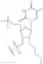 Fig. 20 - COMBINATION THERAPY FOR TREATING HEPATITIS B VIRUS INFECTION