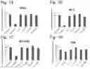 Fig. 02 - T Cell Modulator