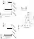 Fig. 45 - METHODS AND COMPOSITIONS RELATING TO ENGINEERED REGULATORY T CELLS