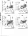 Fig. 01 - NATURAL KILLER CELLS AND USES THEREOF