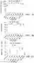 Fig. 02 - NATURAL KILLER CELLS AND USES THEREOF
