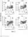 Fig. 03 - NATURAL KILLER CELLS AND USES THEREOF