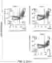Fig. 04 - NATURAL KILLER CELLS AND USES THEREOF