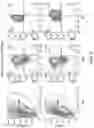 Fig. 06 - NATURAL KILLER CELLS AND USES THEREOF